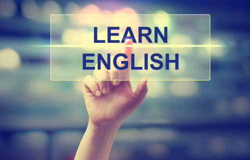 English Language Basic Course: Beginner Level